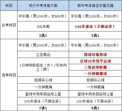 体育美育中考项目计划