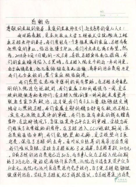 最温暖的作文400字