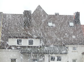 哈尔滨大雪，冬日里的银色浪漫与城市生活的和谐共舞