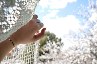 科技的光辉，如何让生活更加美好